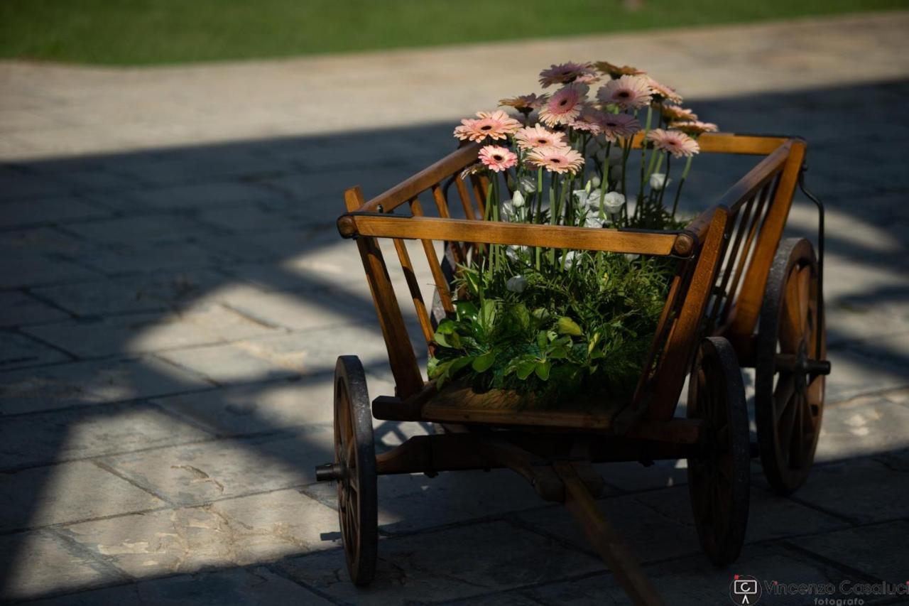 Bed and Breakfast La Dimora Dei Conti Collemeto Экстерьер фото